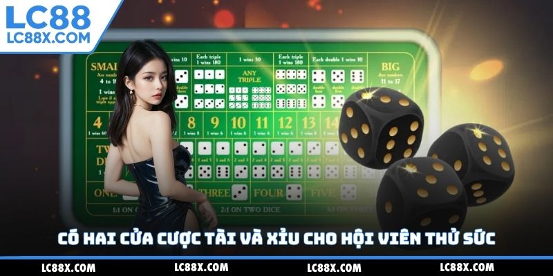 Có hai cửa cược tài và xỉu cho hội viên thử sức