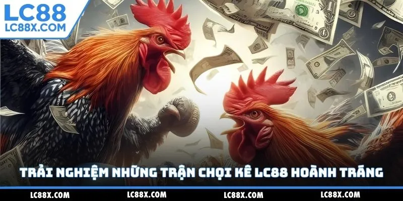 Trải nghiệm những trận chọi kê Lc88 hoành tráng